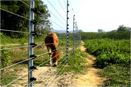 Farm View