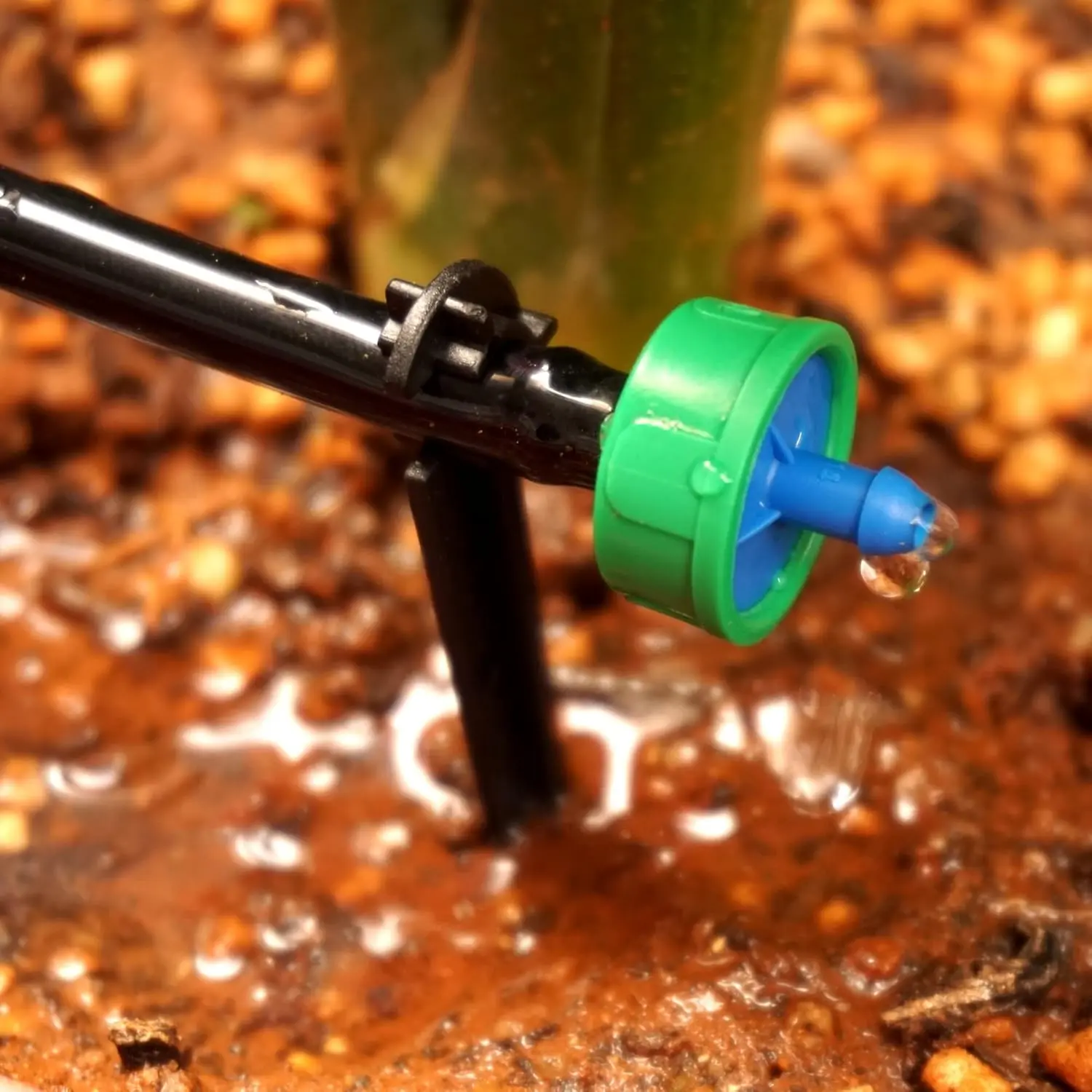 Smart garden automation